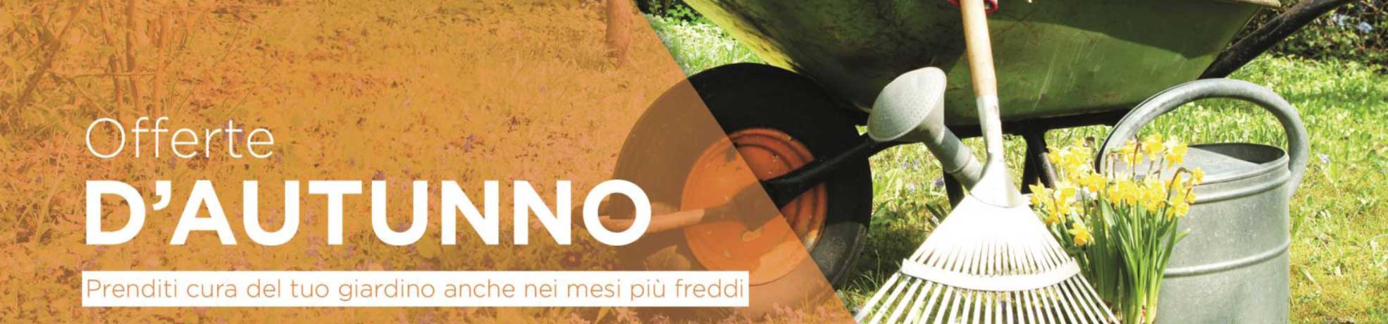 Offerte d'autunno per il guardino