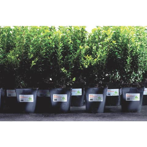 avery-etichette-permanenti-poliestere-105x148-mm-bianco-laser-4-et-foglio-conf-20-fogli-l4719-20