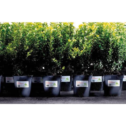 avery-etichette-permanenti-poliestere-bianche-45-7x21-2-mm-48-et-foglio-stampanti-laser-cf-20-fogli-l4778-20