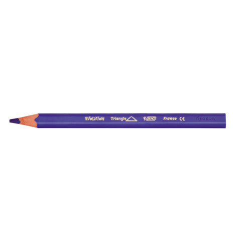 bic-matite-colorate-kids-evolution-triangle-fusto-triangolare-conf-12-pezzi-assortiti-82973511