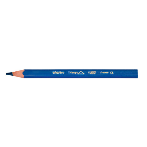 bic-matite-colorate-kids-evolution-triangle-fusto-triangolare-conf-12-pezzi-assortiti-82973511