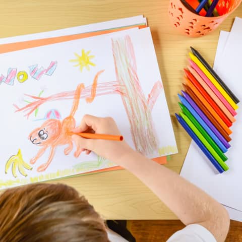 bic-pastelli-plastica-kids-plastidecor-conf-12-colori-assortiti-9457645