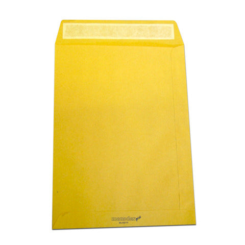 blasetti-buste-sacco-monodex-avana-carta-kraft-100-g-mq-23x33-cm-conf-500-pz-0831