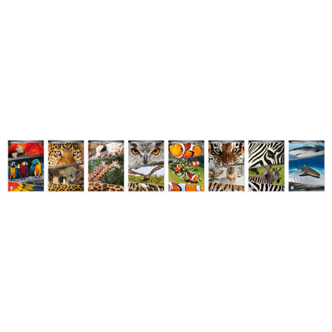 blasetti-maxi-quaderno-animali-a4-181-ff-carta-100-g-mq-conf-10-pz-rigatura-4-mm-5893