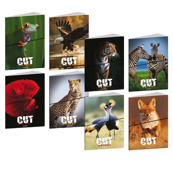 blasetti-maxiquaderno-a4-20fg1-80gr-1-rigo-c-margine-animal-cut