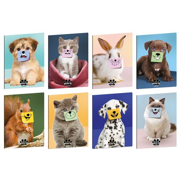 blasetti-maxiquaderno-a4-20fg1-80gr-4mm-c-margine-pets-it