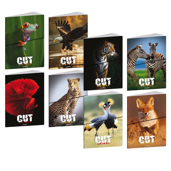 blasetti-maxiquaderno-a4-20fg1-80gr-5mm-c-margine-animal-cut