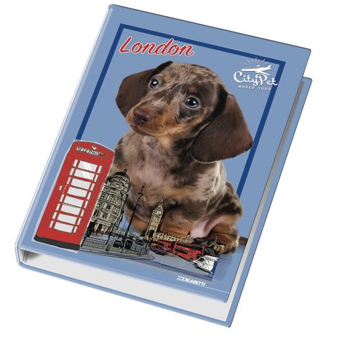 blasetti-raccoglitore-anelli-4-anelli-diametro-30-26x32-cm-fogli-a4-fantasie-assortite-cuccioli-4170