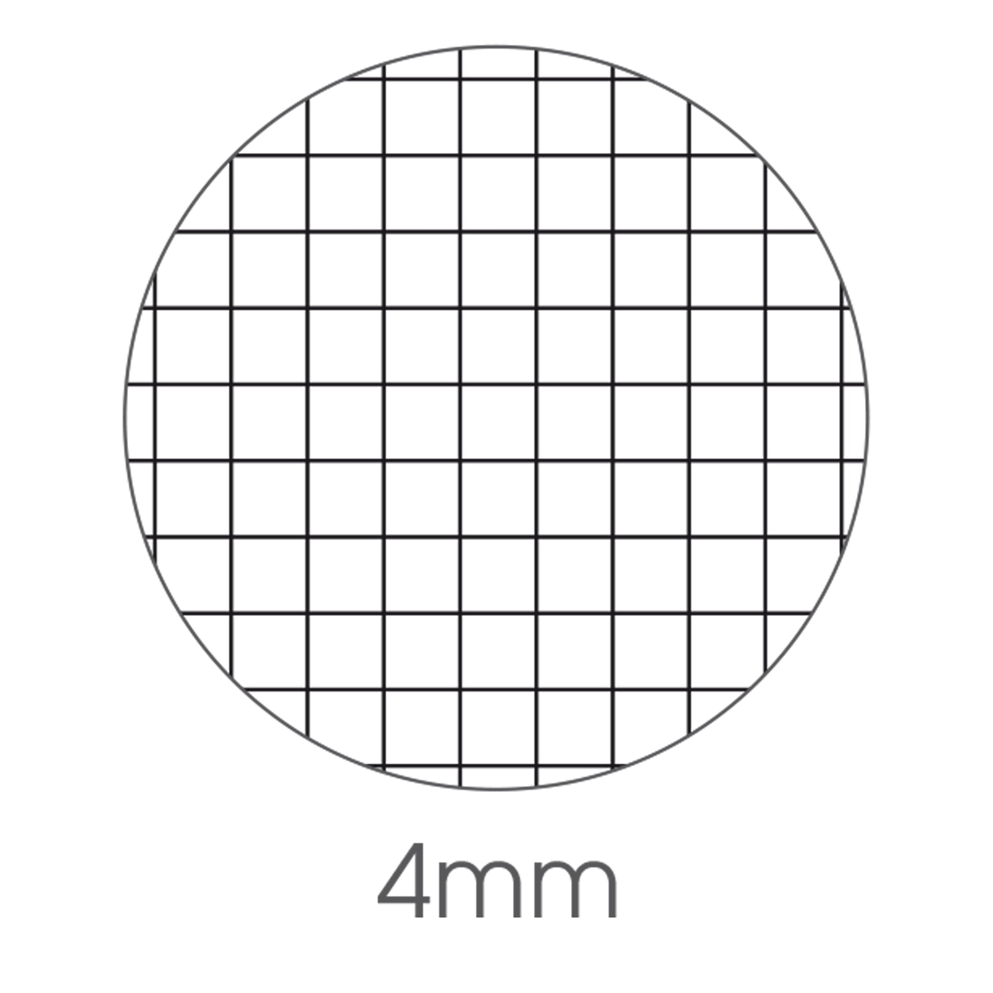 bm-maxiquaderno-a4-36fg2-100gr-4mm-be-more-urban-2024