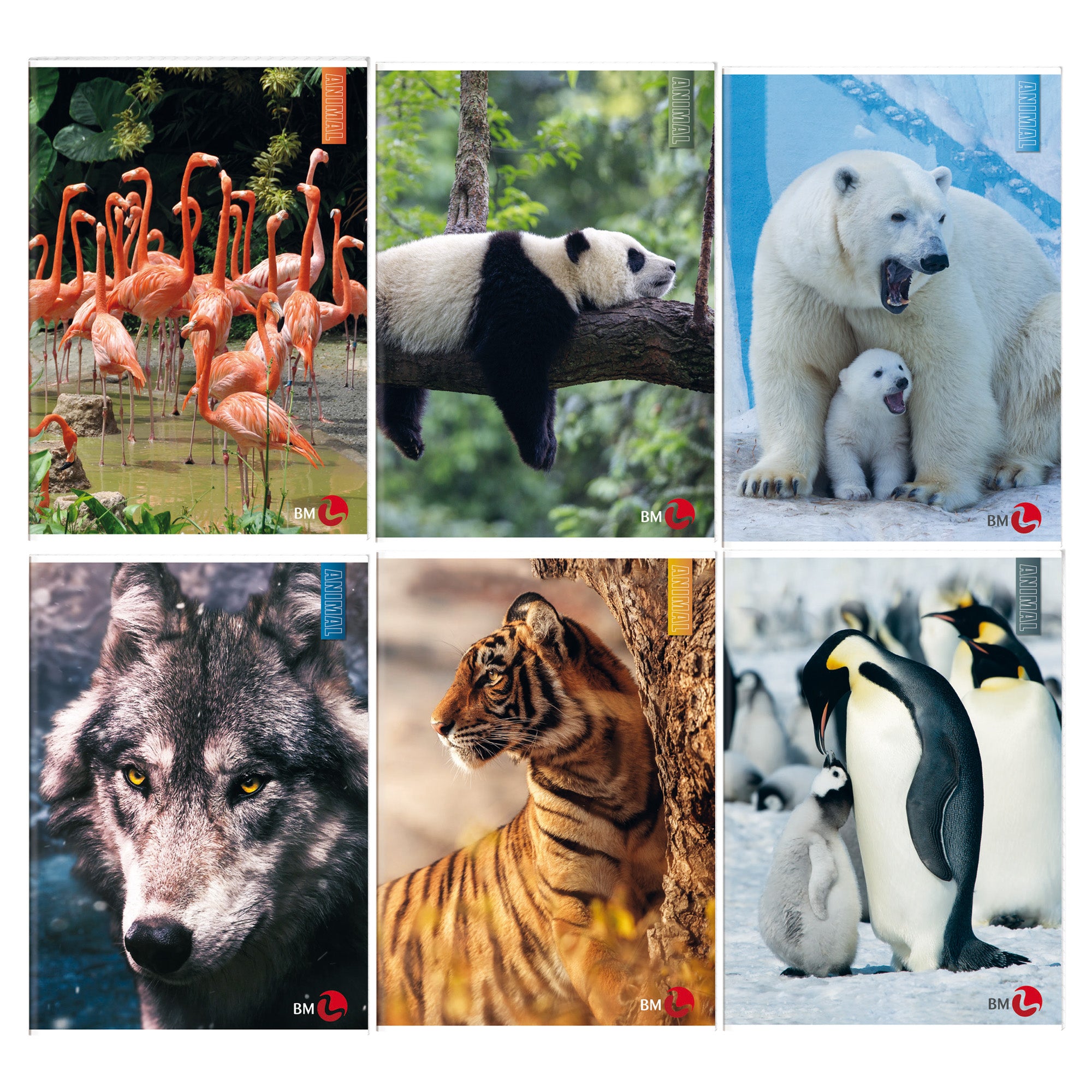bm-maxiquaderno-a4-40fg2-80gr-rigo-1a-animal