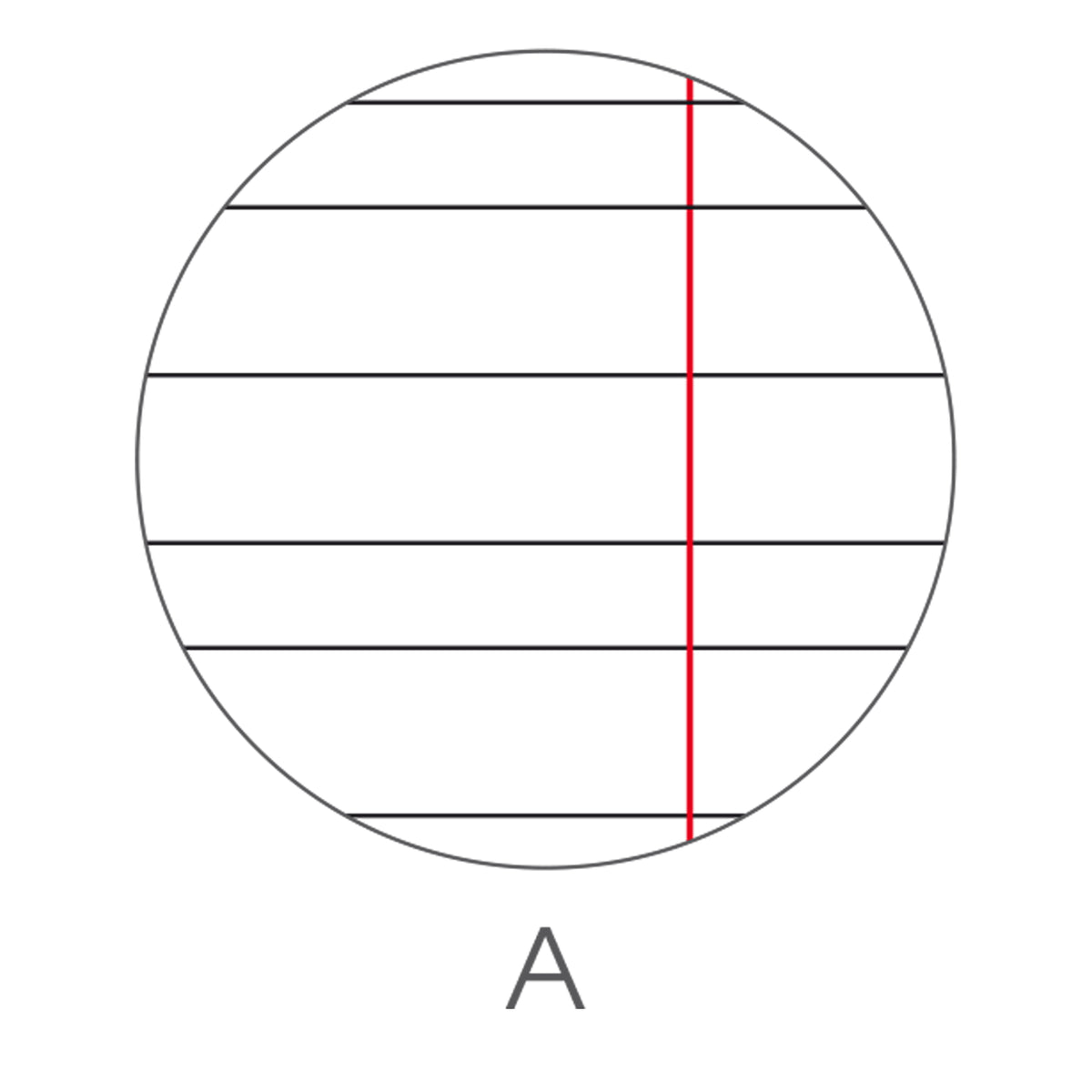 bm-maxiquaderno-a4-40fg2-80gr-rigo-1a-bambina-2024