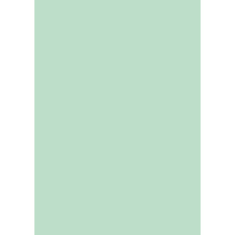 brefiocart-cartellina-semplice-color-24-5x35-cm-cellulosa-200-g-mq-verde-menta-chiaro-conf-50-pz-0205510-vc
