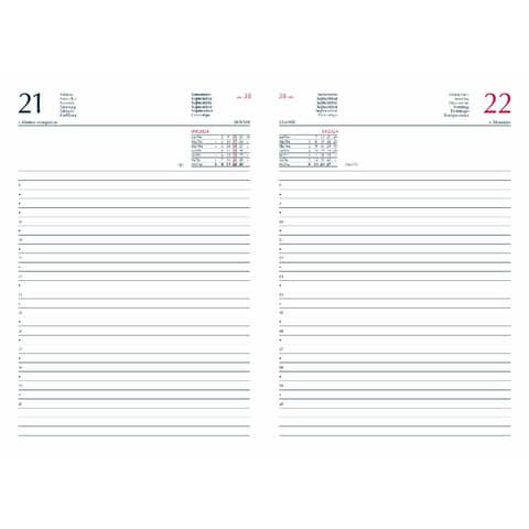 cartucciaperfetta-agenda-2026-giornaliera-s-d-separati-14-5x20-5-cm-gommato-rosso-26-628b00403c