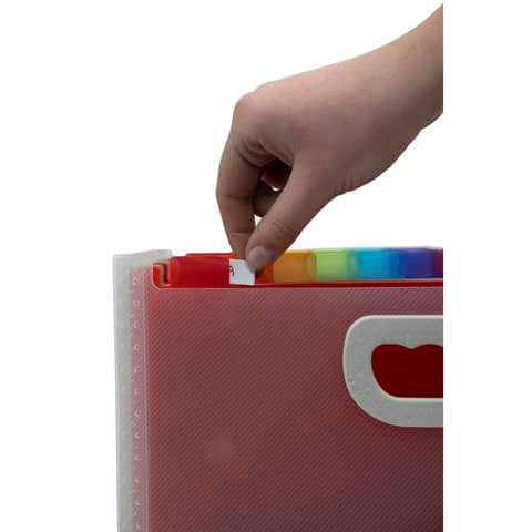 crystal-colours-classificatore-valigetta-cristallo-24-scomparti-33x23-5x25cm-maniglia-55198e