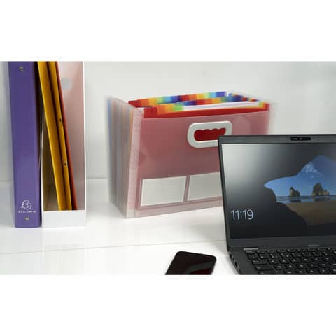 crystal-colours-classificatore-valigetta-cristallo-24-scomparti-33x23-5x25cm-maniglia-55198e