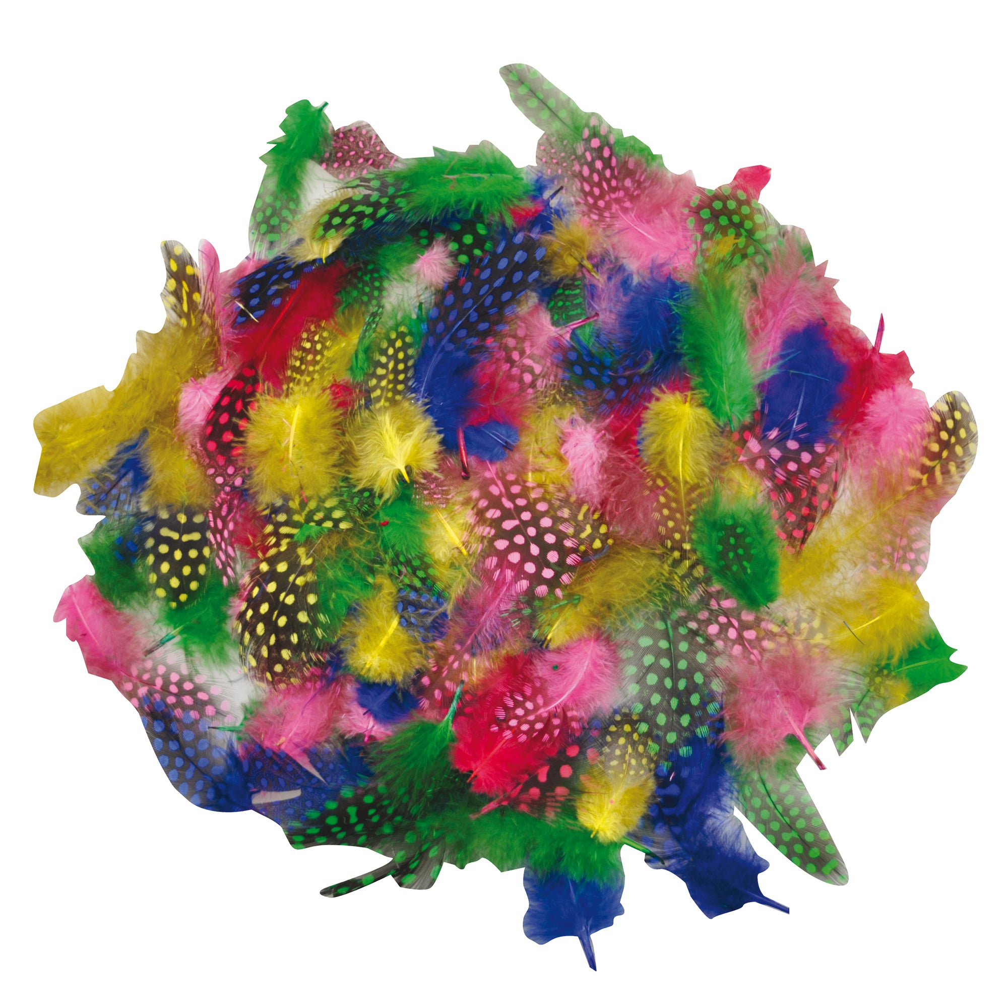deco-busta-100-piume-tropicali-dim-50-100mm-colori-assortiti