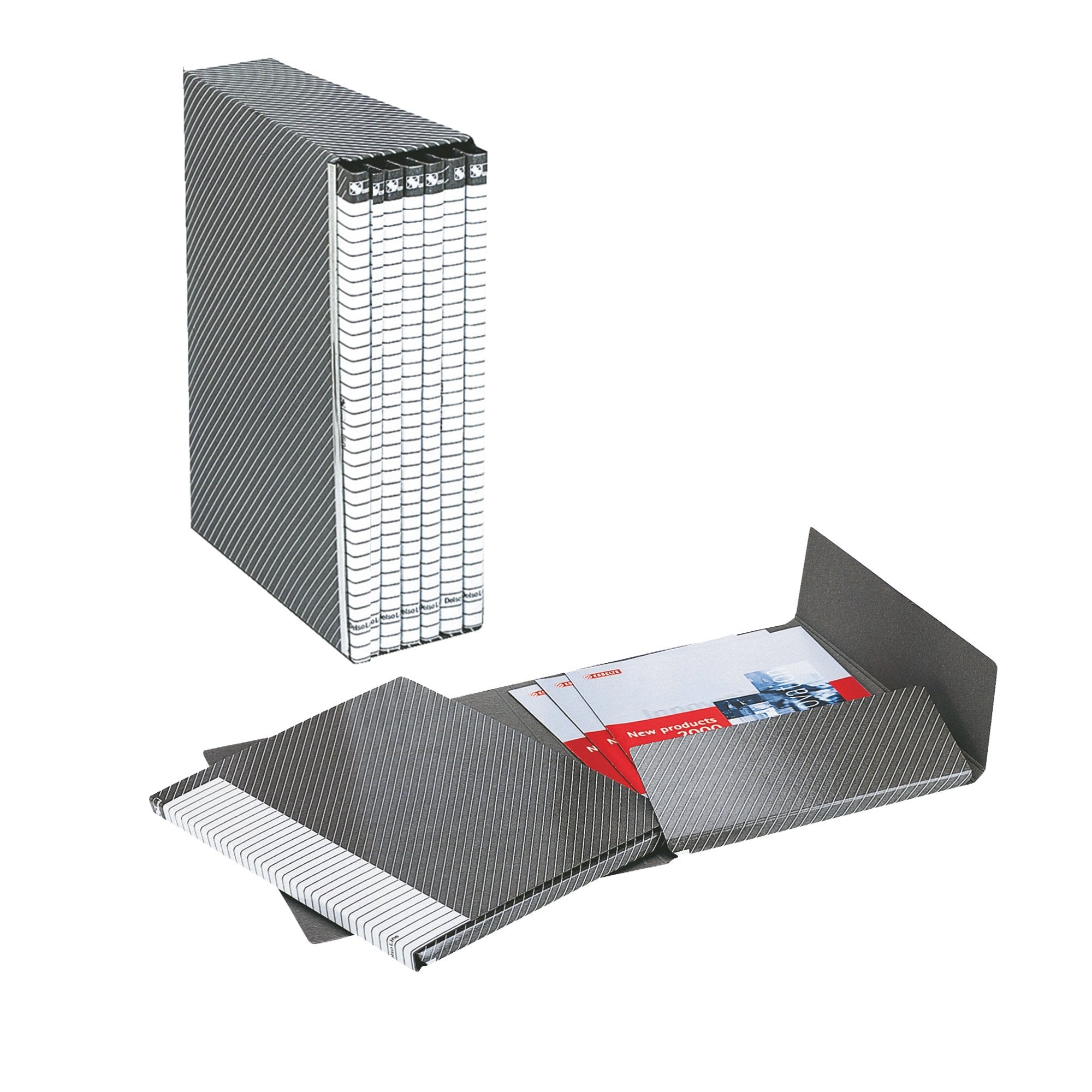 esselte-gruppo-delso-line-i54-6-cartelle-2-lembi-dorso-1-5cm