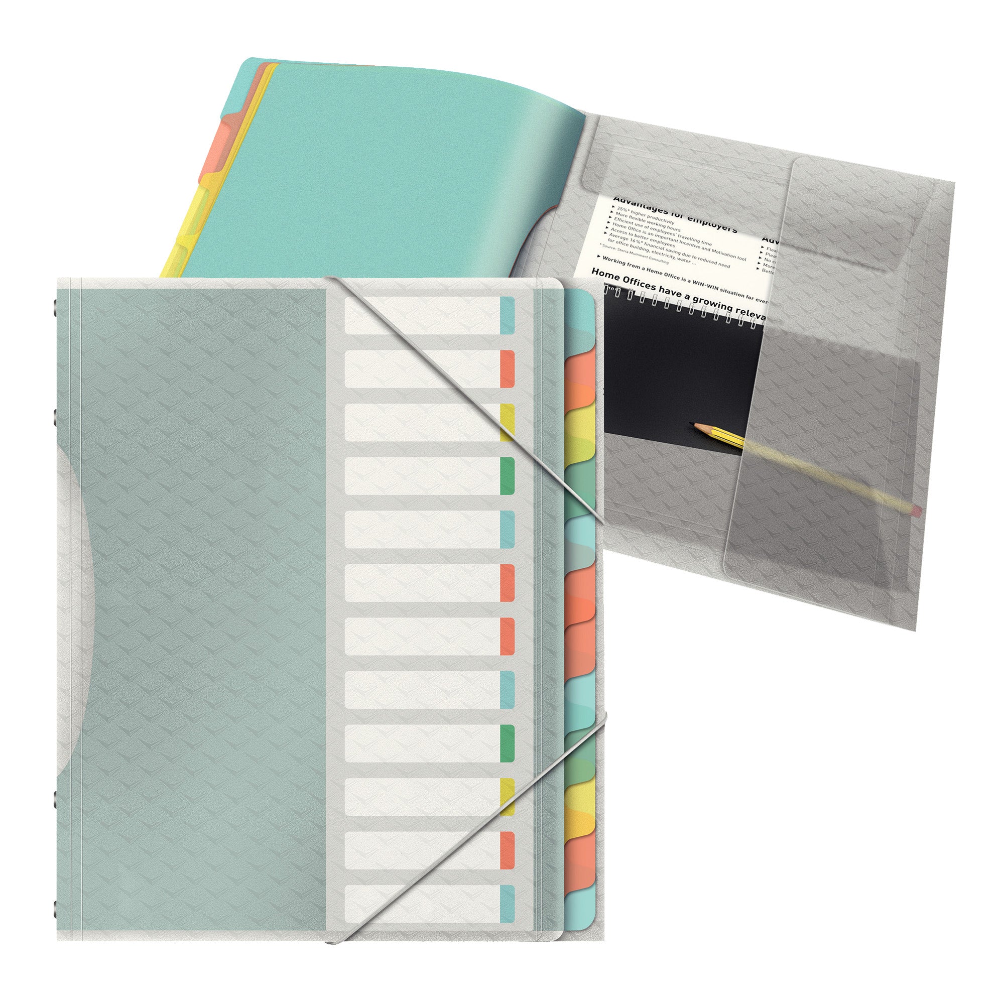 esselte-libro-monitore-12-divisori-multicolore-colourice