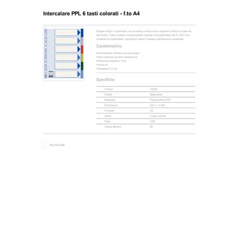 esselte-separatore-neutro-ppl-6-tasti-colorati-f-to-a4