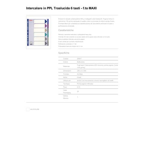 esselte-separatore-ppl-traslucido-6-tasti-f-to-a4-maxi-24-5x29-7cm