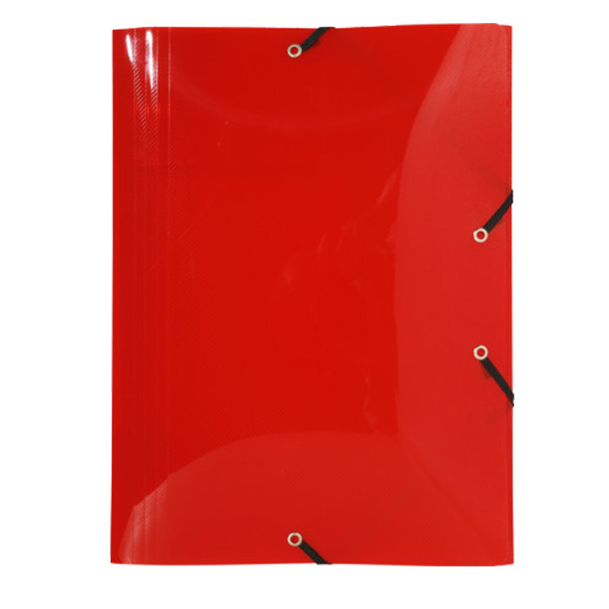 exacompta-cartella-3-lembi-c-elastici-pp-a4-colori-ass-56701e-crystal-colours-exacompt