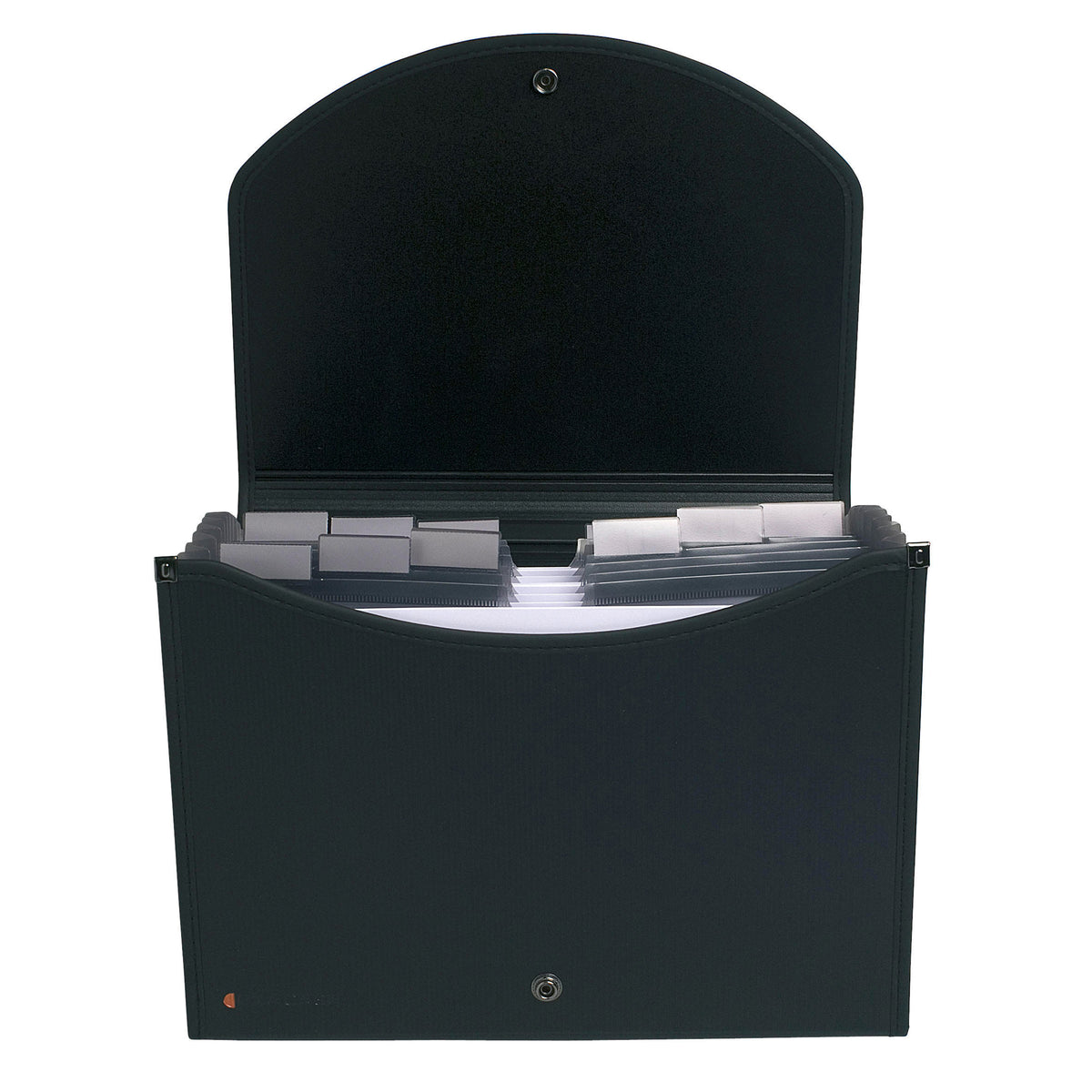 exacompta-classificatore-13-tasche-33x26cm-ppl-nero-exacase