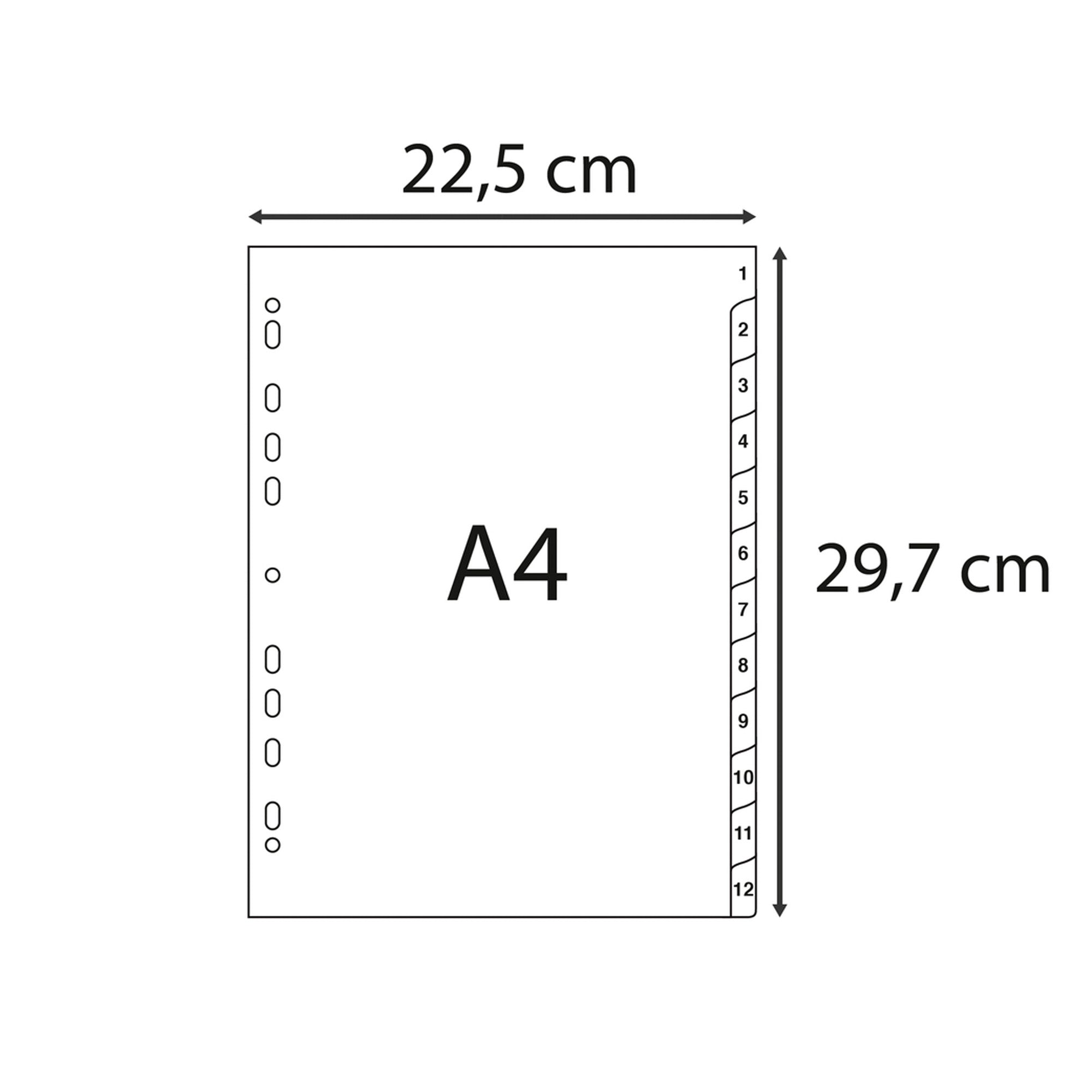 exacompta-intercalare-numerico-pp-riciclato-31-tasti-1-31-grigio-a4