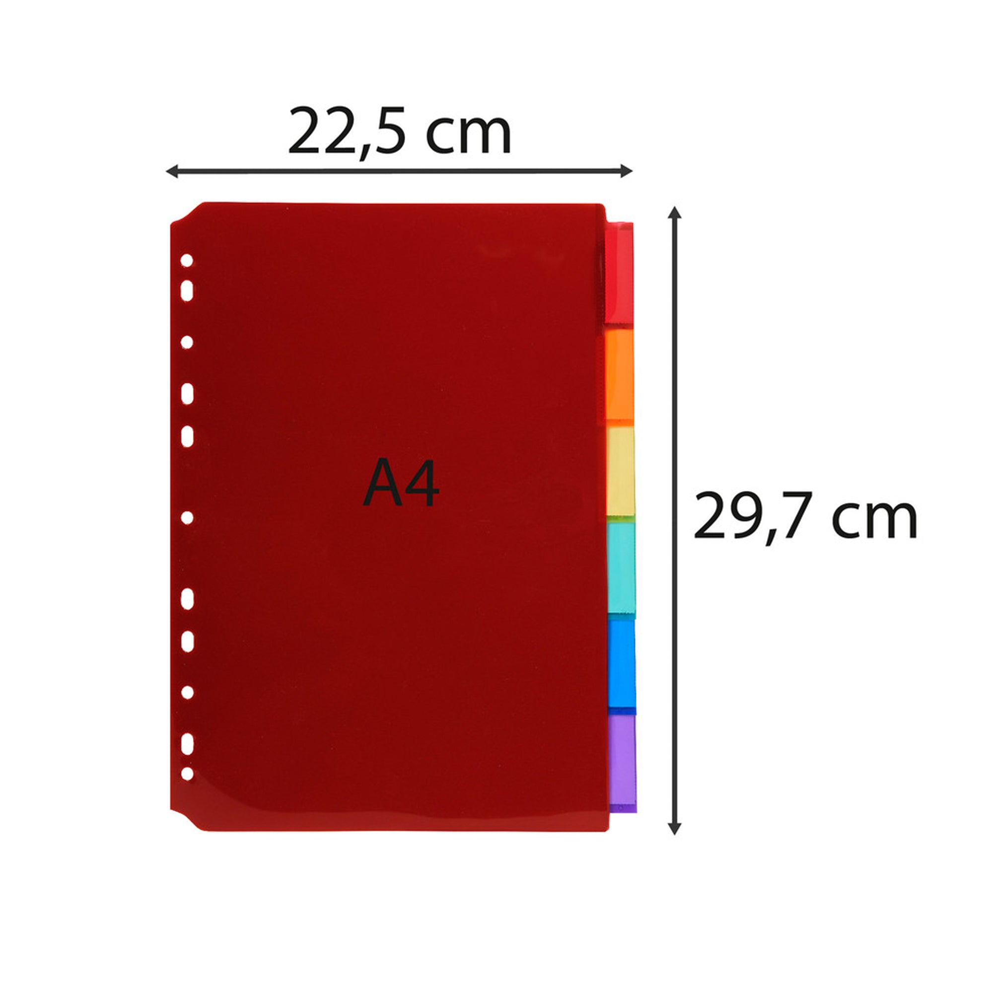 exacompta-intercalari-neutri-pp-trasparente-6-posizioni-3906e