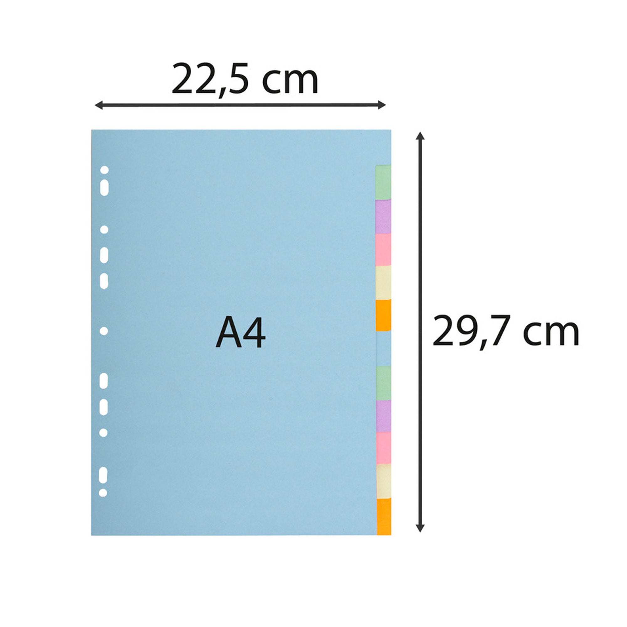 exacompta-separatore-pastel-a4-12-tasti-cartoncino-170gr-1612e-forever