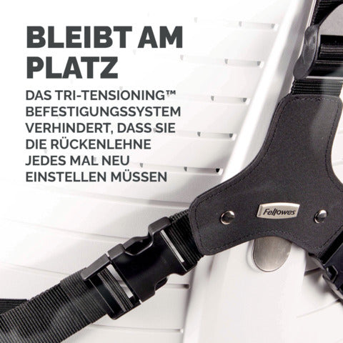 fellowes-supporto-schiena-professional-series-ultimate-36-5-x-37-5-x-5-5-cm-nero-8041801