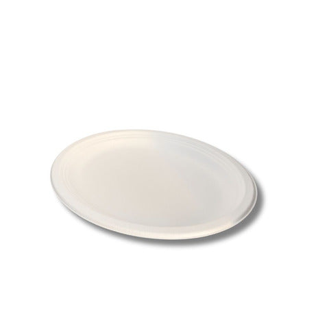 ferrari-bio-piatto-ovale-bagassa-sbiancata-317-mm-conf-100-pz-fbio74