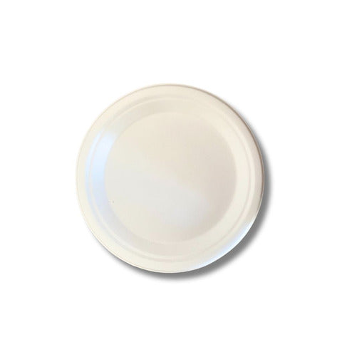 ferrari-bio-piatto-piano-bagassa-sbiancata-conf-100-pz-225x19-6-mm-fbio70