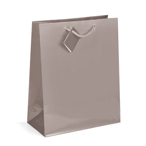 lebez-shopper-regalo-plastificata-50-8x71-1x17-8-cm-colori-assortiti-conf-12-pezzi-4357