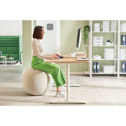 leitz-palla-active-seduta-anti-rotolamento-diametro-65-cm-ergo-grigio-chiaro-65420085