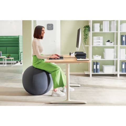 leitz-palla-active-seduta-anti-rotolamento-diametro-65-cm-ergo-grigio-scuro-65420089