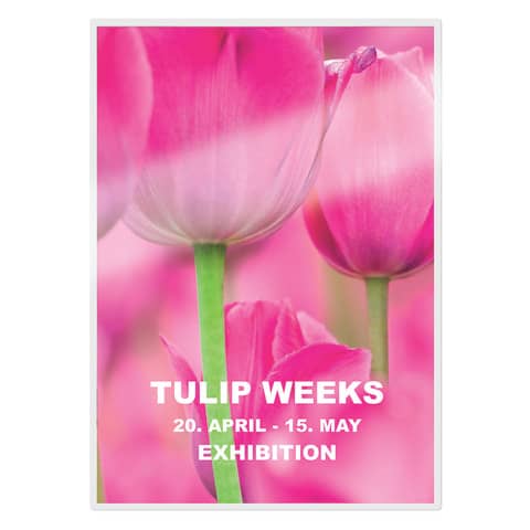 leitz-pouches-plastificatrici-ilam-a3-trasparente-125-micron-conf-100-pezzi-74880000