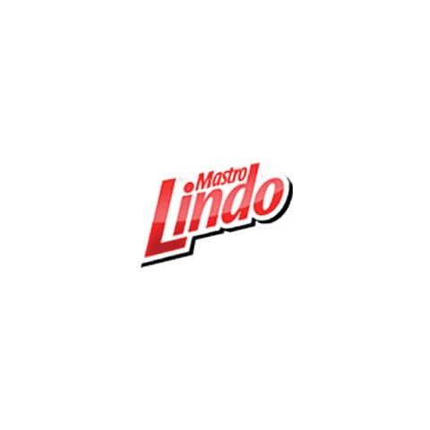 mastro-lindo-detergente-multiuso-mastro-lindo-professional-5-l-limone-pg0399