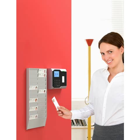 paperflow-porta-badge-muro-wall-organizer-24-posti-19-9x2-5x37-5-cm-grigio-chiaro-k500000