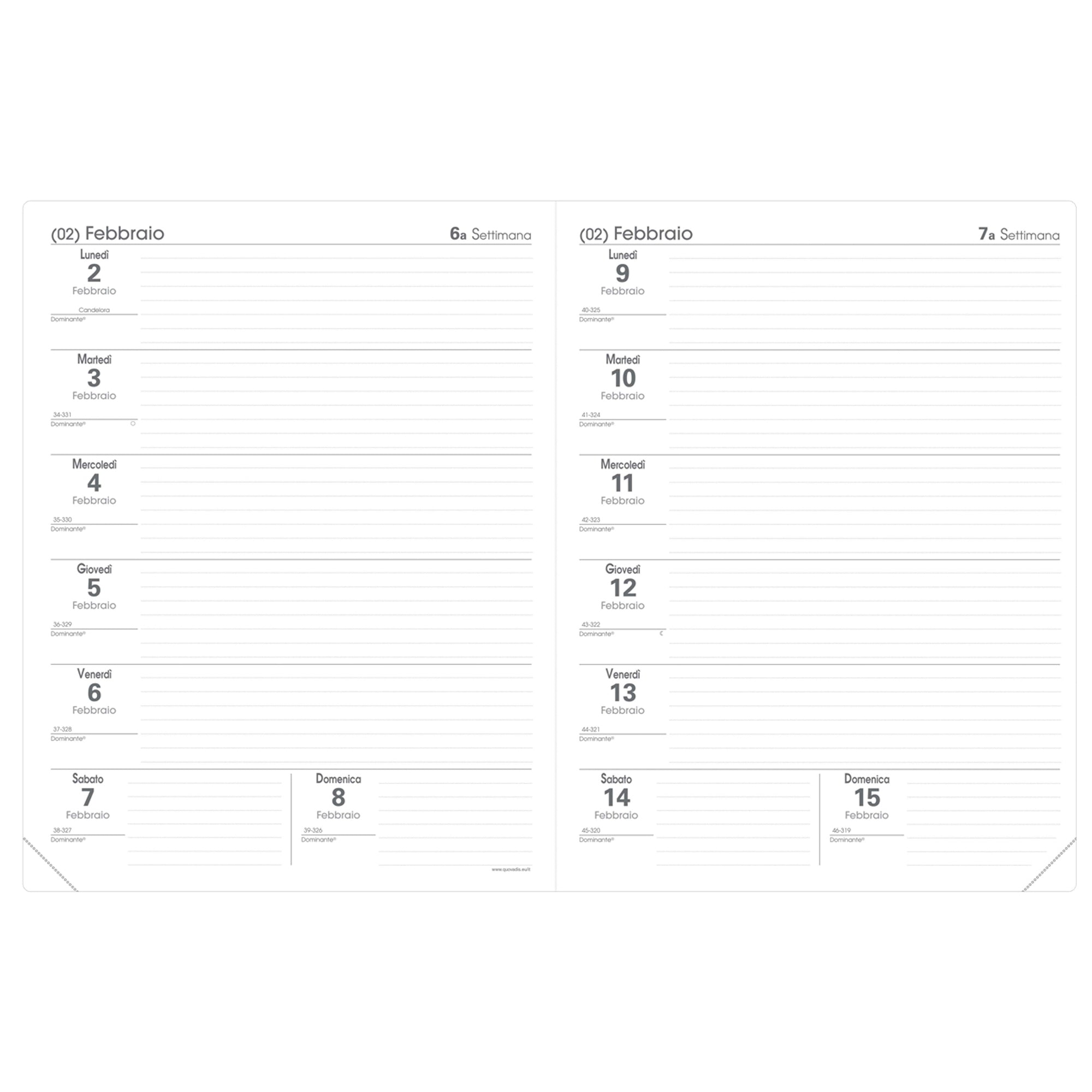 quo-vadis-agenda-professore-21x27cm-club-verde-salvia-2027-quo-vadis