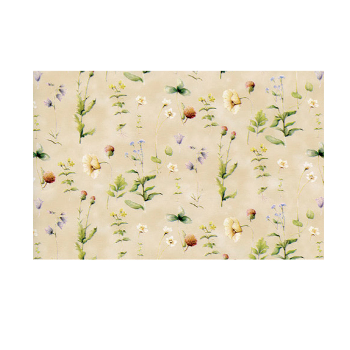 rex-sadoch-expo-20-rt-cartarivesto-rextaco-adesiva-lavabile-49x300cm-assortiti