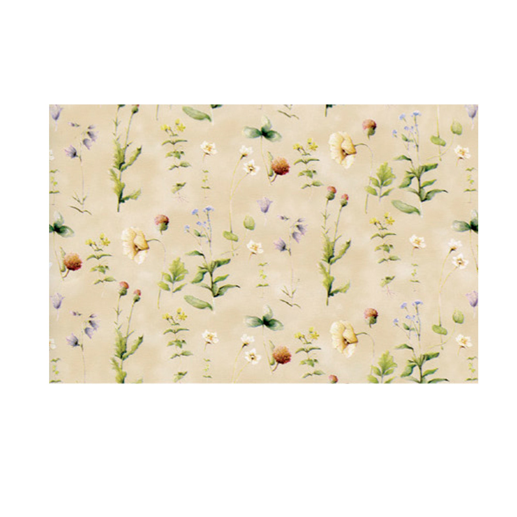 rex-sadoch-expo-20-rt-cartarivesto-rextaco-adesiva-lavabile-49x300cm-assortiti