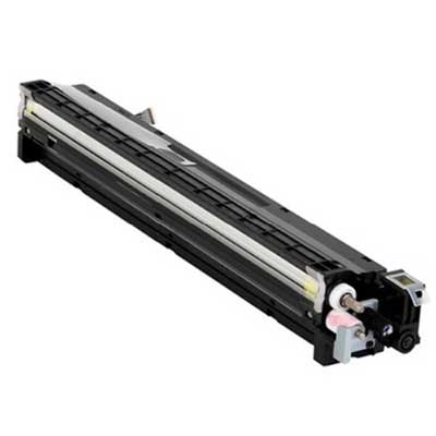 ricoh-d1773035-developer-originale