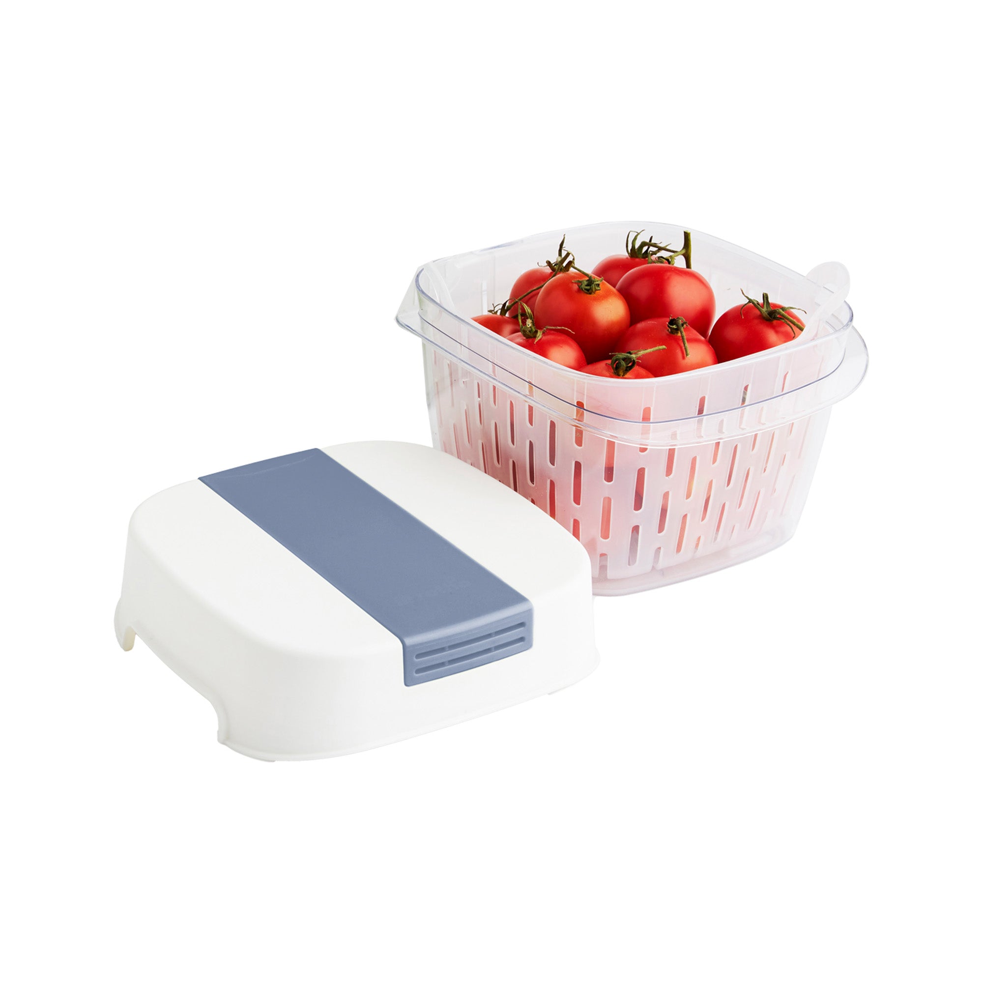 rotho-contenitore-alimenti-dynamic-box-1-6-lt-fresh