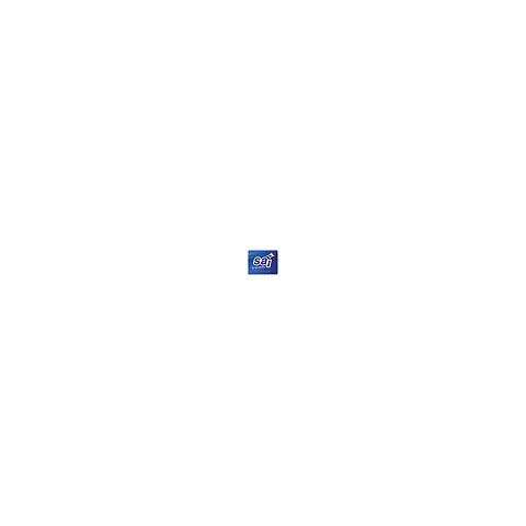 sai-disgorgante-liquido-alcalino-1-l-0301521