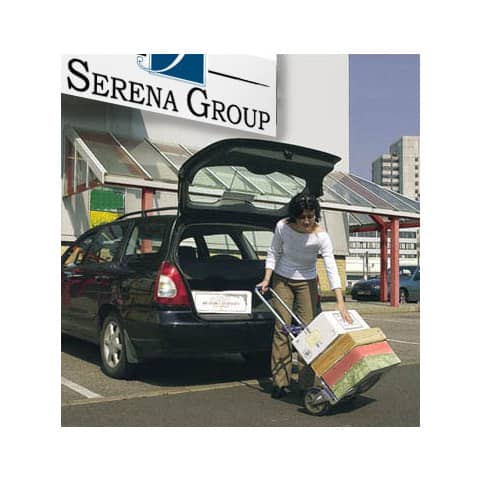 serena-group-carrello-portapacchi-alluminio-plastica-grigio-nero-48x98-cm-gzs100