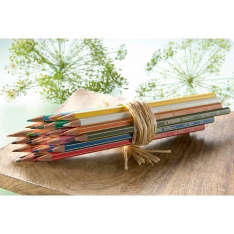 stabilo-matite-colorate-greencolors-astuccio-cartone-24-colori-assortiti-6019-2-24