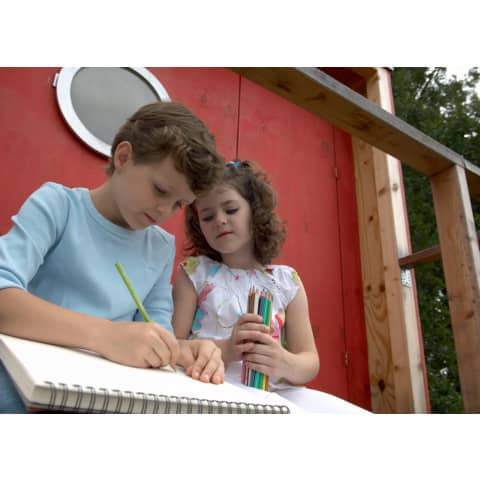 stabilo-matite-colorate-greencolors-astuccio-cartone-24-colori-assortiti-6019-2-24