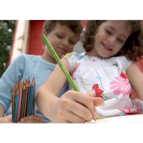 stabilo-matite-colorate-greencolors-astuccio-cartone-24-colori-assortiti-6019-2-24