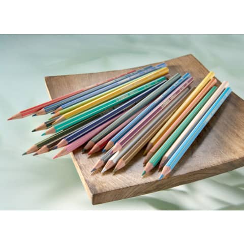 stabilo-matite-colorate-greencolors-astuccio-cartone-24-colori-assortiti-6019-2-24