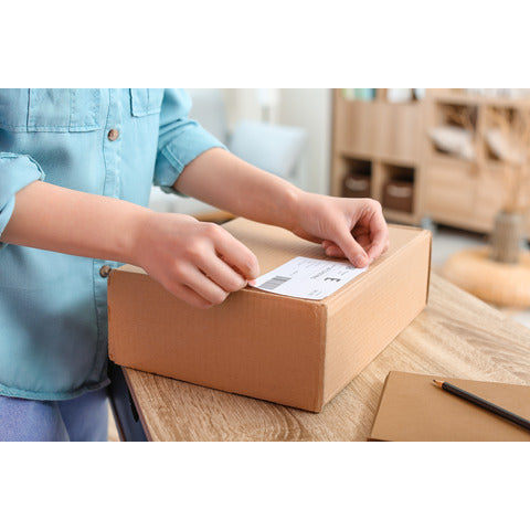 tico-etichette-bianche-adesive-permanenti-laser-inkjet-1-et-foglio-conf-10010-ff-omaggio-210x297-mm